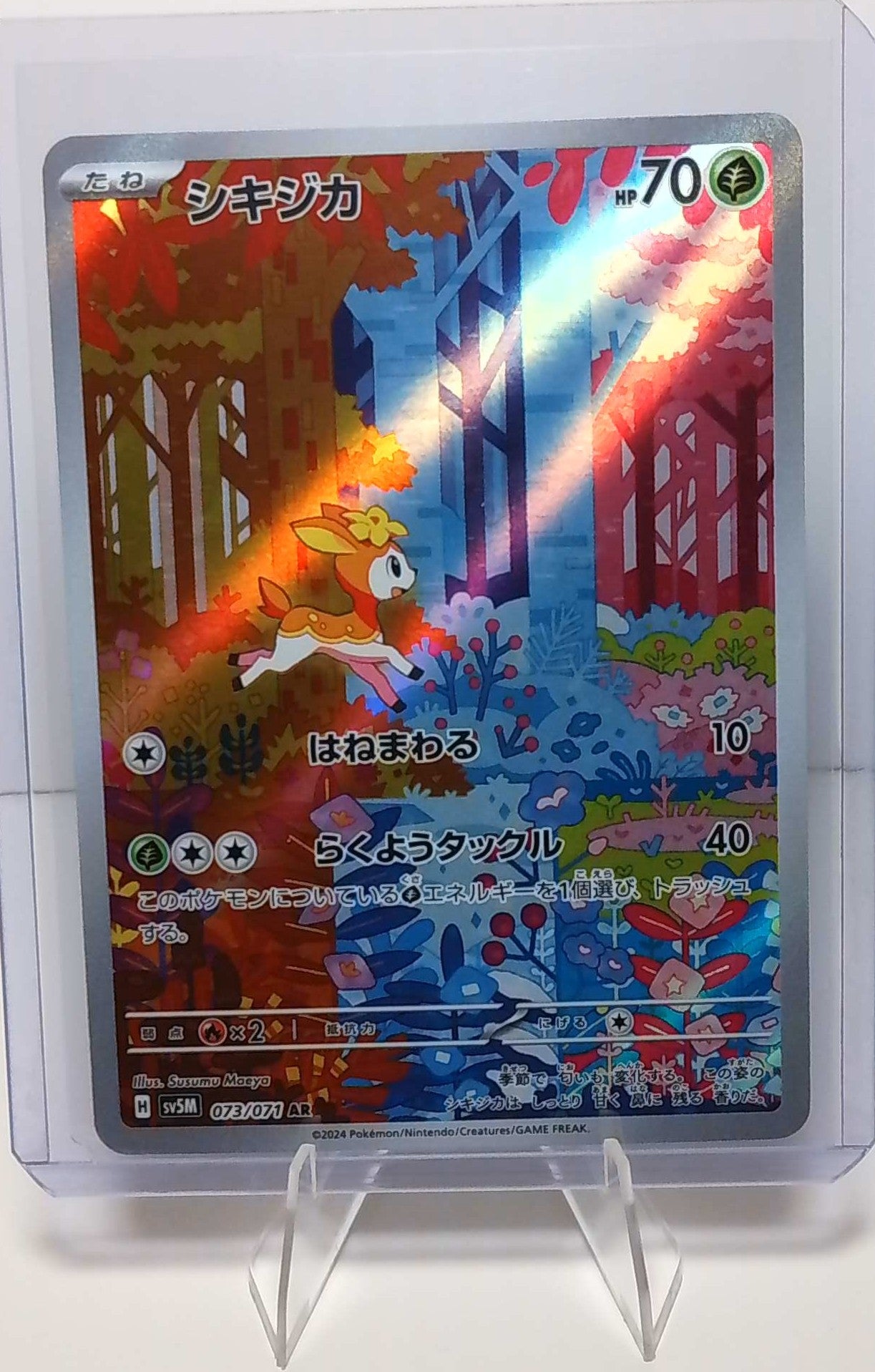 Japanese Pokémon Cards